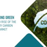 Carbon Credit Market-Innovius Research