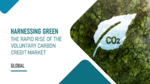 The Rapid Rise of the Voluntary Carbon Credit Market